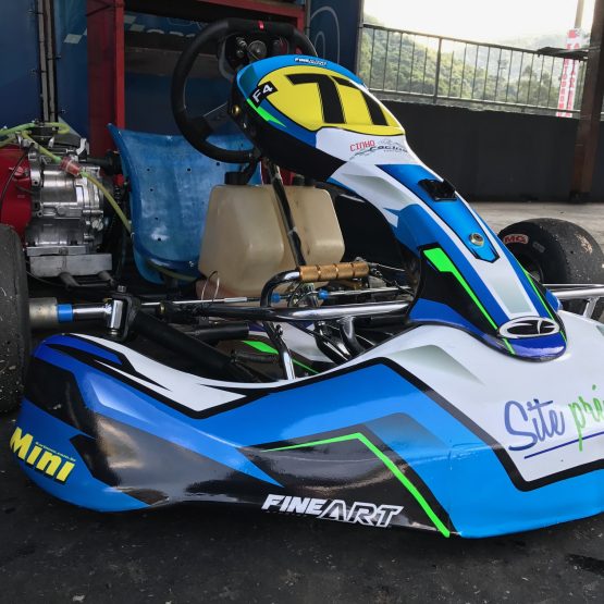 Adesivo Para Carenagem De Kart E Layout Fineart nacional e importada Piloto Fernando Santos